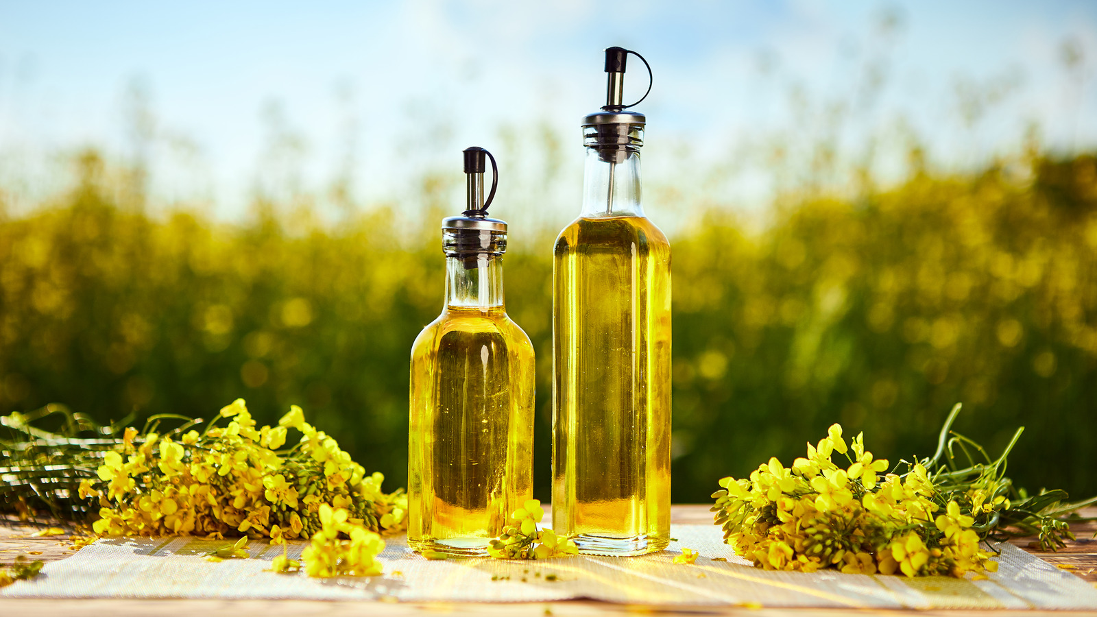 10 Best Substitutes For Canola Oil