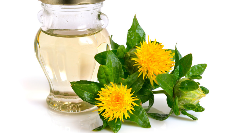 safflower plant and oil