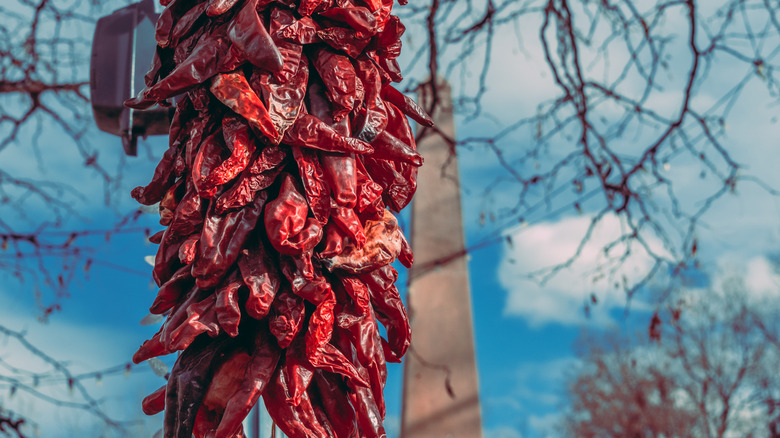 Red chili ristra and obelisk