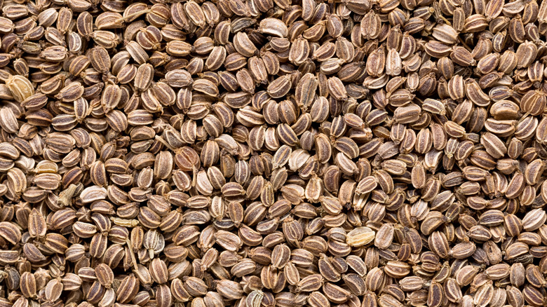 up close of celery seedss