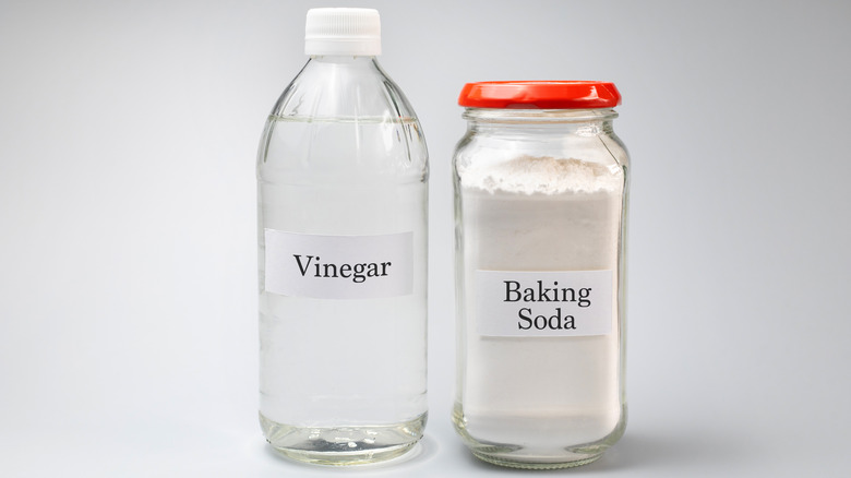 Containers of vinegar and baking soda