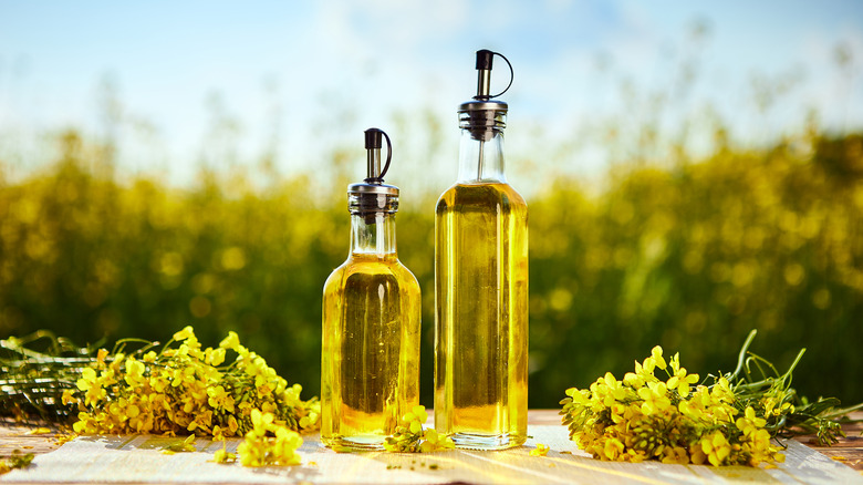 Bottles of canola oil