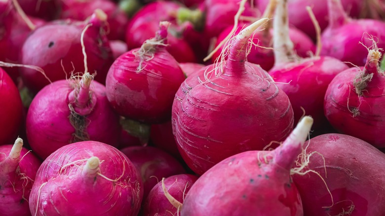 Fresh Whole Radishes