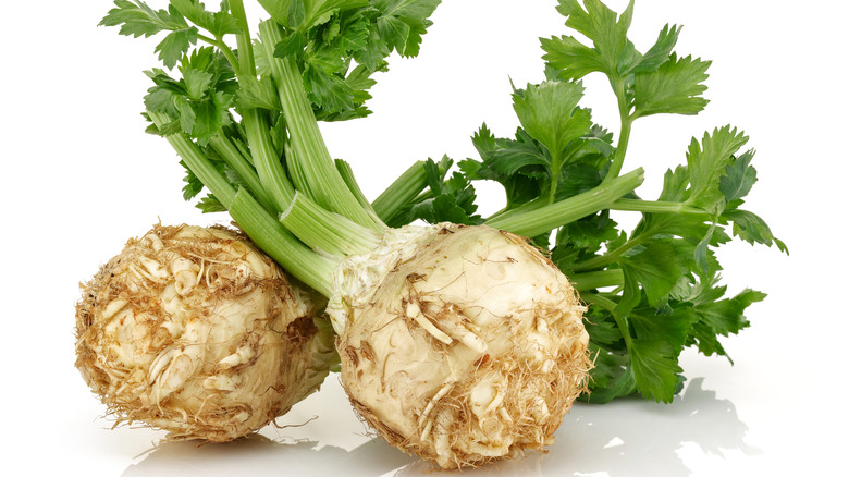 Two Large Celery Root 