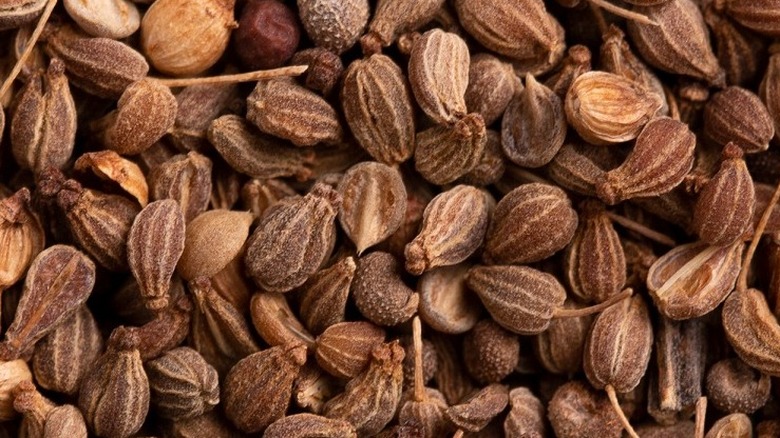 Anise seeds up close 