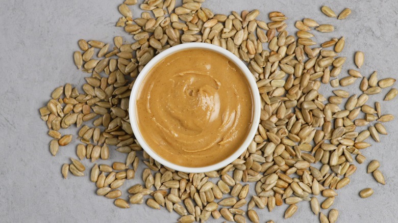 bowl of sunflower seed butter surrounded by sunflower seeds
