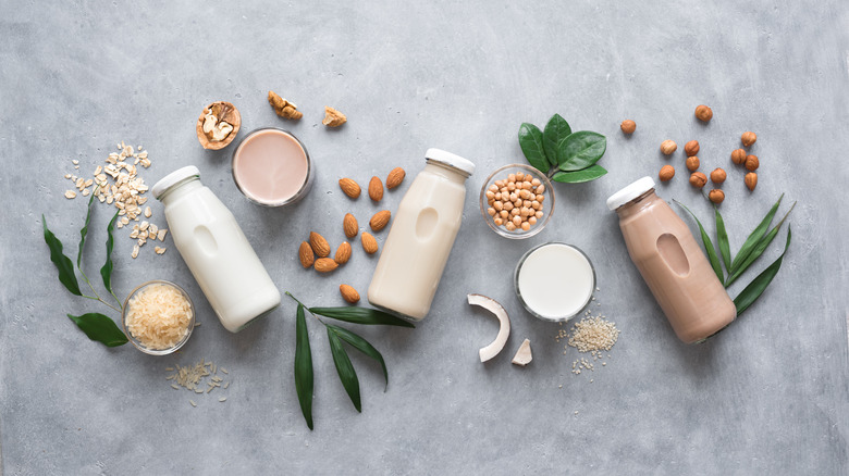 a flat lay of a variety of plant-based milk