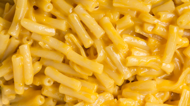 Close-up of macaroni and cheese