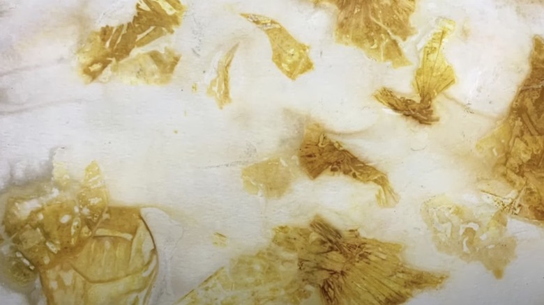 yellow onion skin art eco-printing