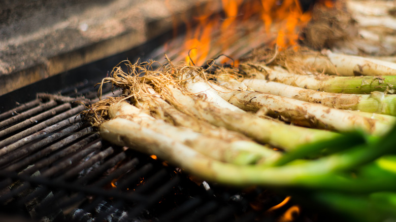 Green onions on a grill