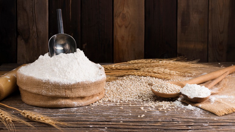 Scoop of flour with wheat