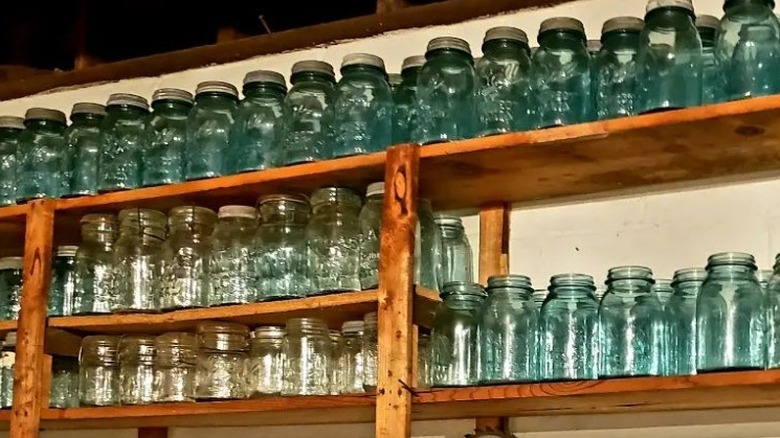 Rows of pickle jars