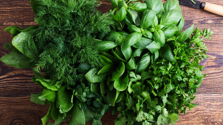 Bundle of green fresh herbs