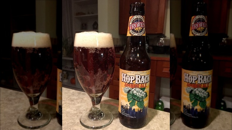 Glass of Tröeggs Hopback beer