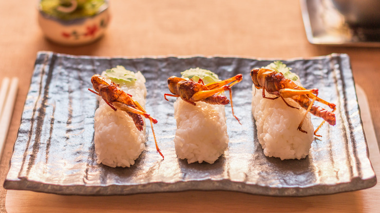 Fried grasshopper sushi 