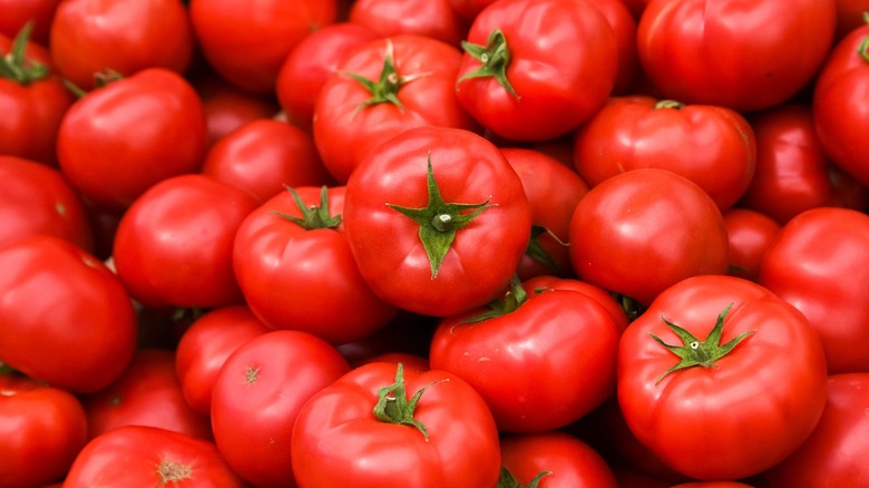 fresh tomatoes