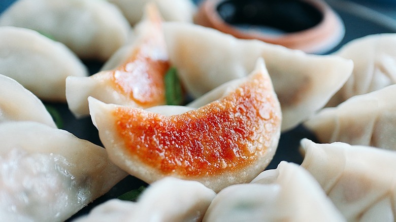 fried gyoza on plate