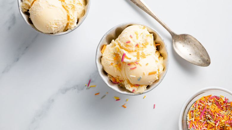 vanilla ice cream with sprinkles