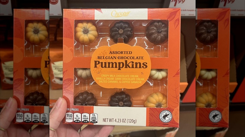 box of pumpkin chocolates