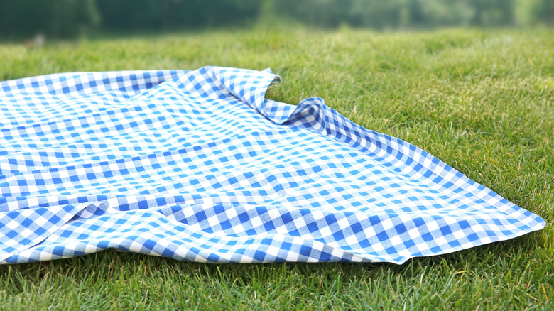 Picnic blanket on grass