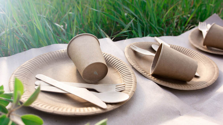 Biodegradable cutlery