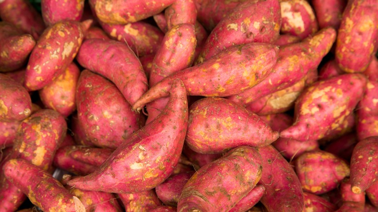 pile of sweet potatoes