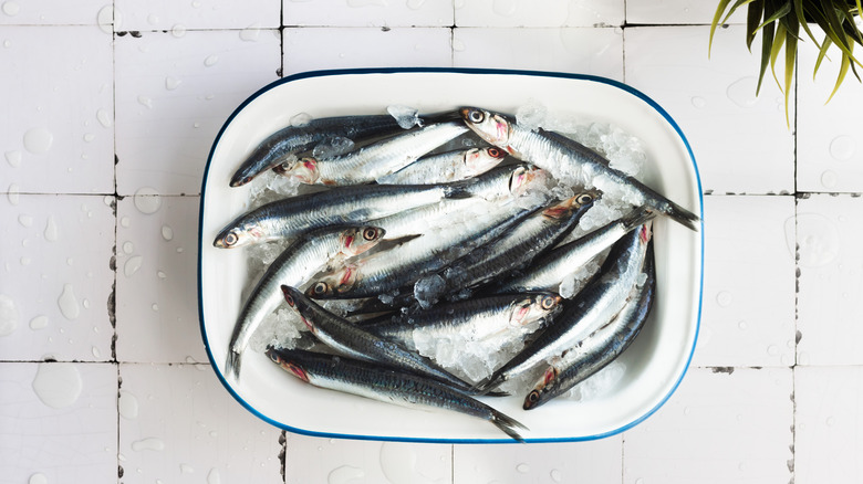 Anchovies on a plate