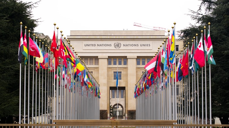 Flags outside United Nations building