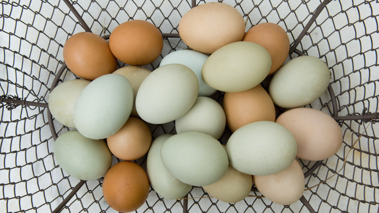 Wire basket full of eggs