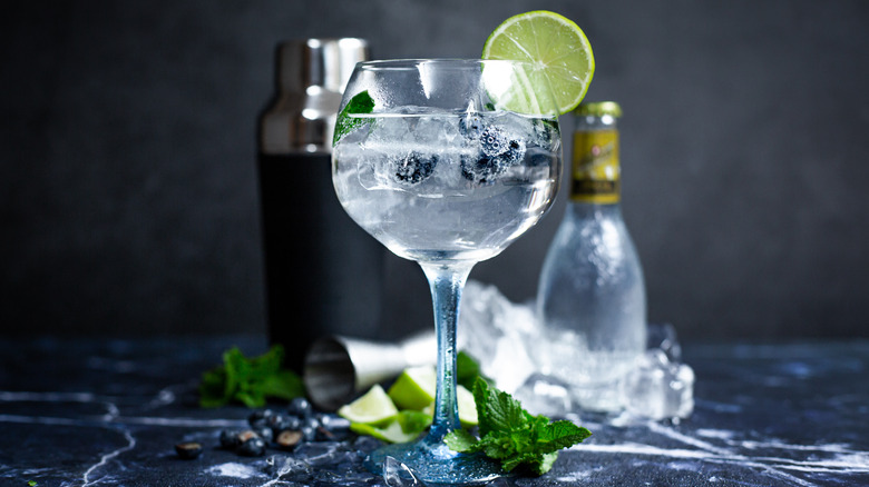 gin and tonic cocktail