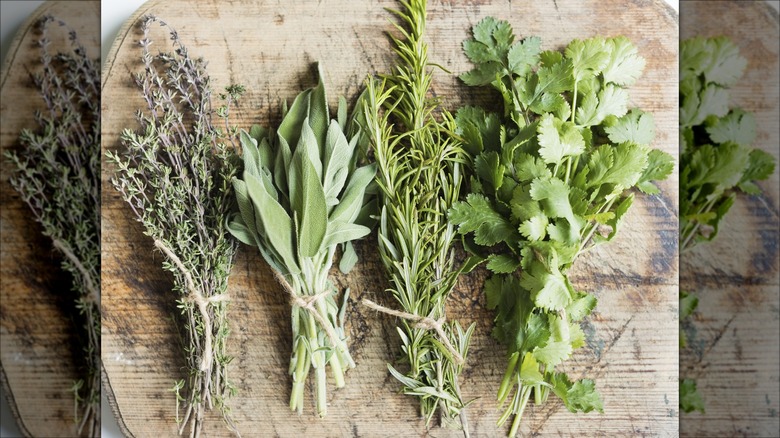 fresh herbs bundled