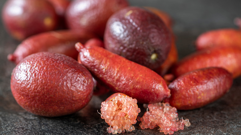 blood limes and red finger limes