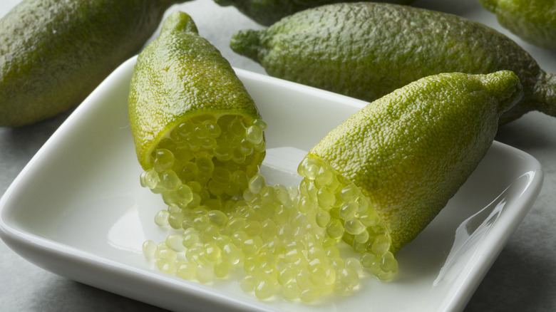 finger lime