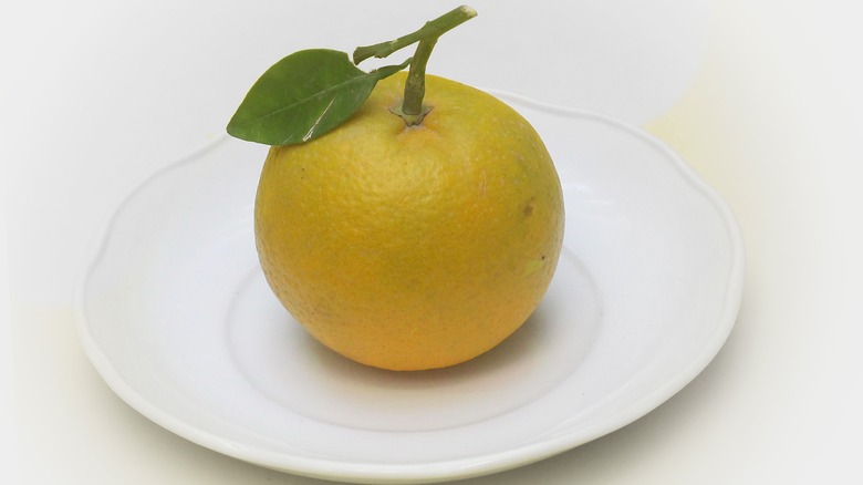 sweet lime on plate