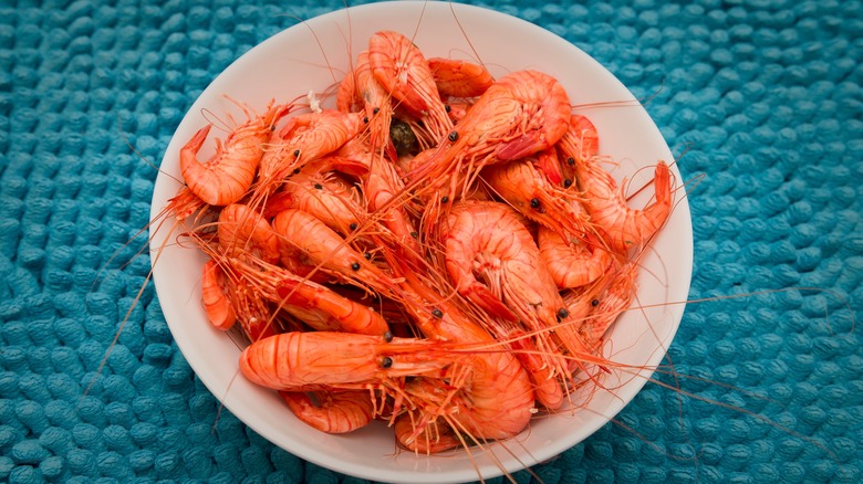 Atlantic northern shrimp in a bowl