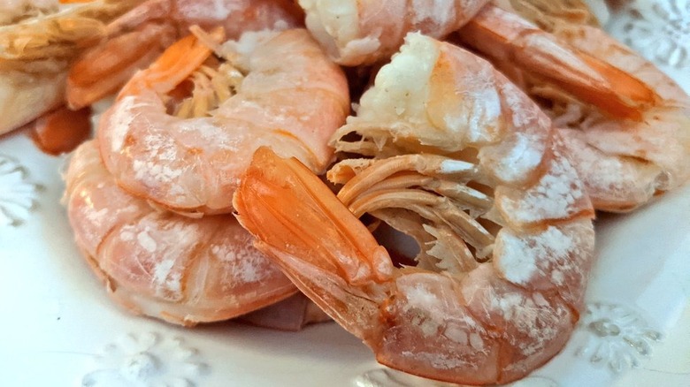 11 Types Of Shrimp Varieties From Around The World