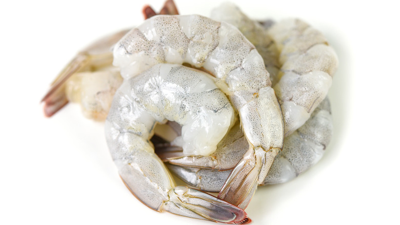 White shrimps against a white background