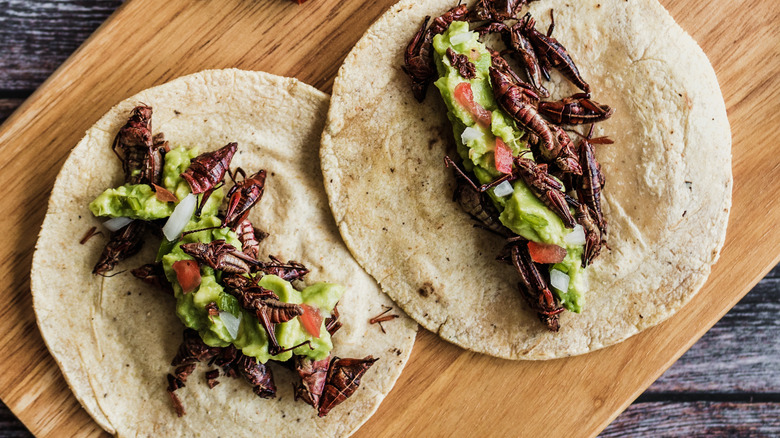 chapulines tacos