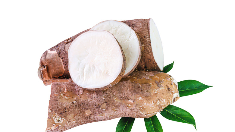 cassava tubers
