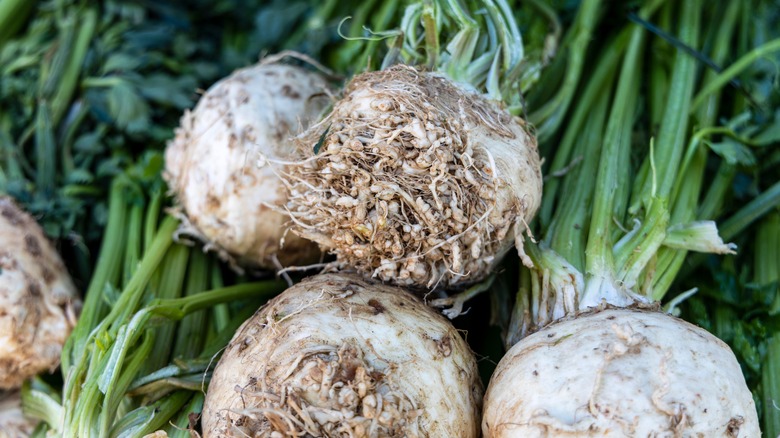 Celeriac vegetables at market