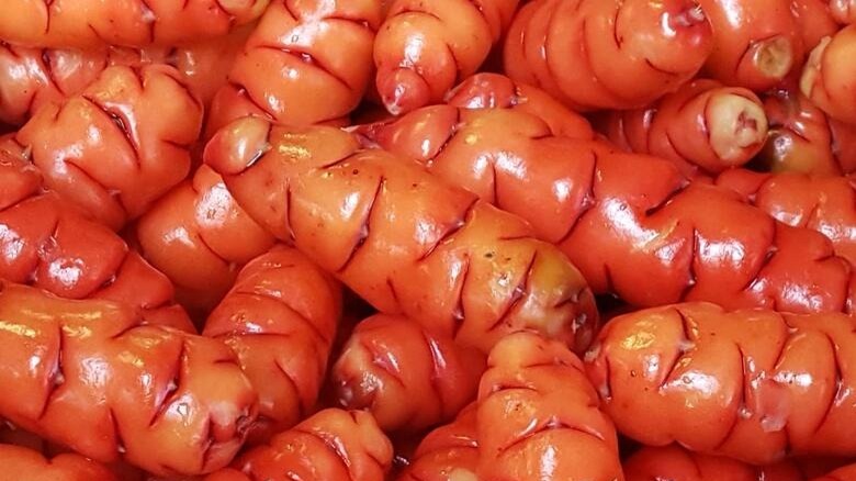 red oca tubers