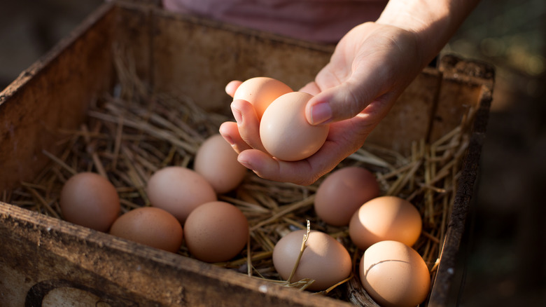 crate of fresh eggs