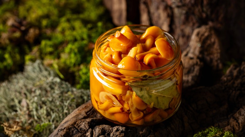 marinated mushrooms in jar