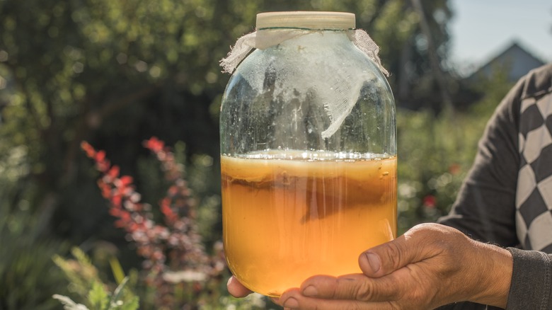 Person holding jar of kombucha