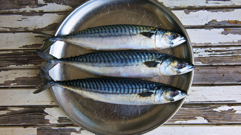 three mackerel on plate