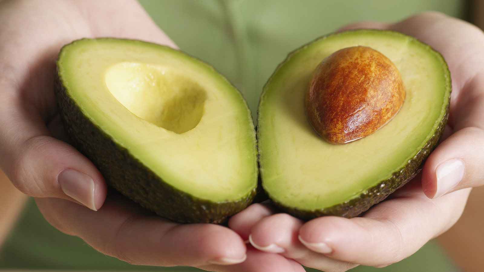 Bagged Avocados, Fresh Fruit