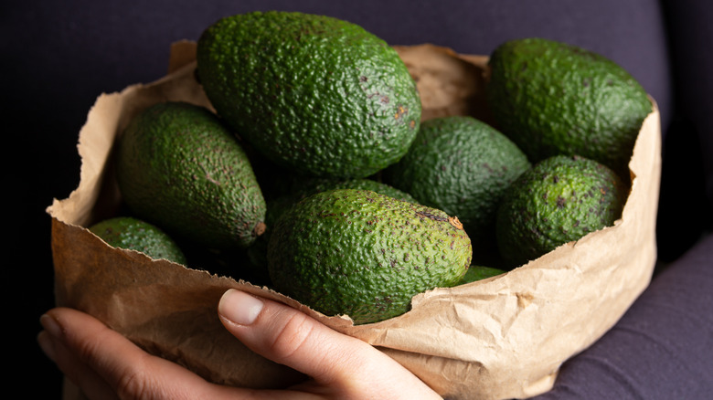 avocados in brown bag