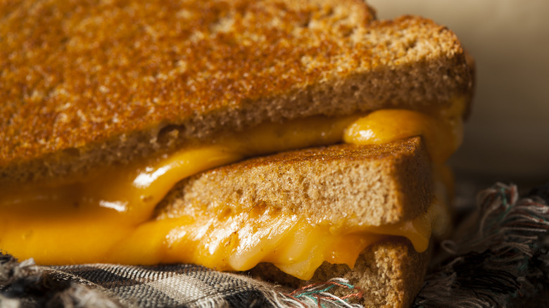 Closeup of grilled cheese sandwich