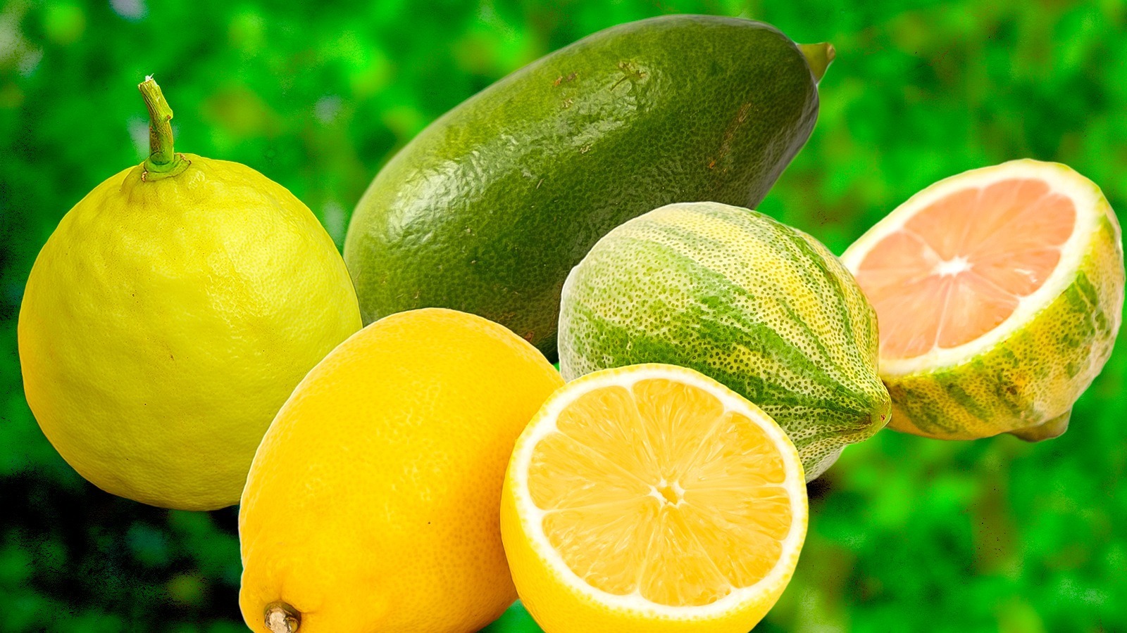 12 Common Types Of Lemons And How They Are Different