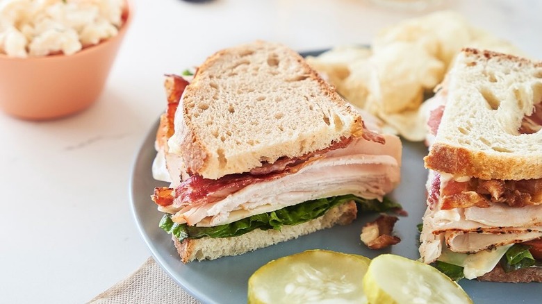 turkey sandwich on a plate